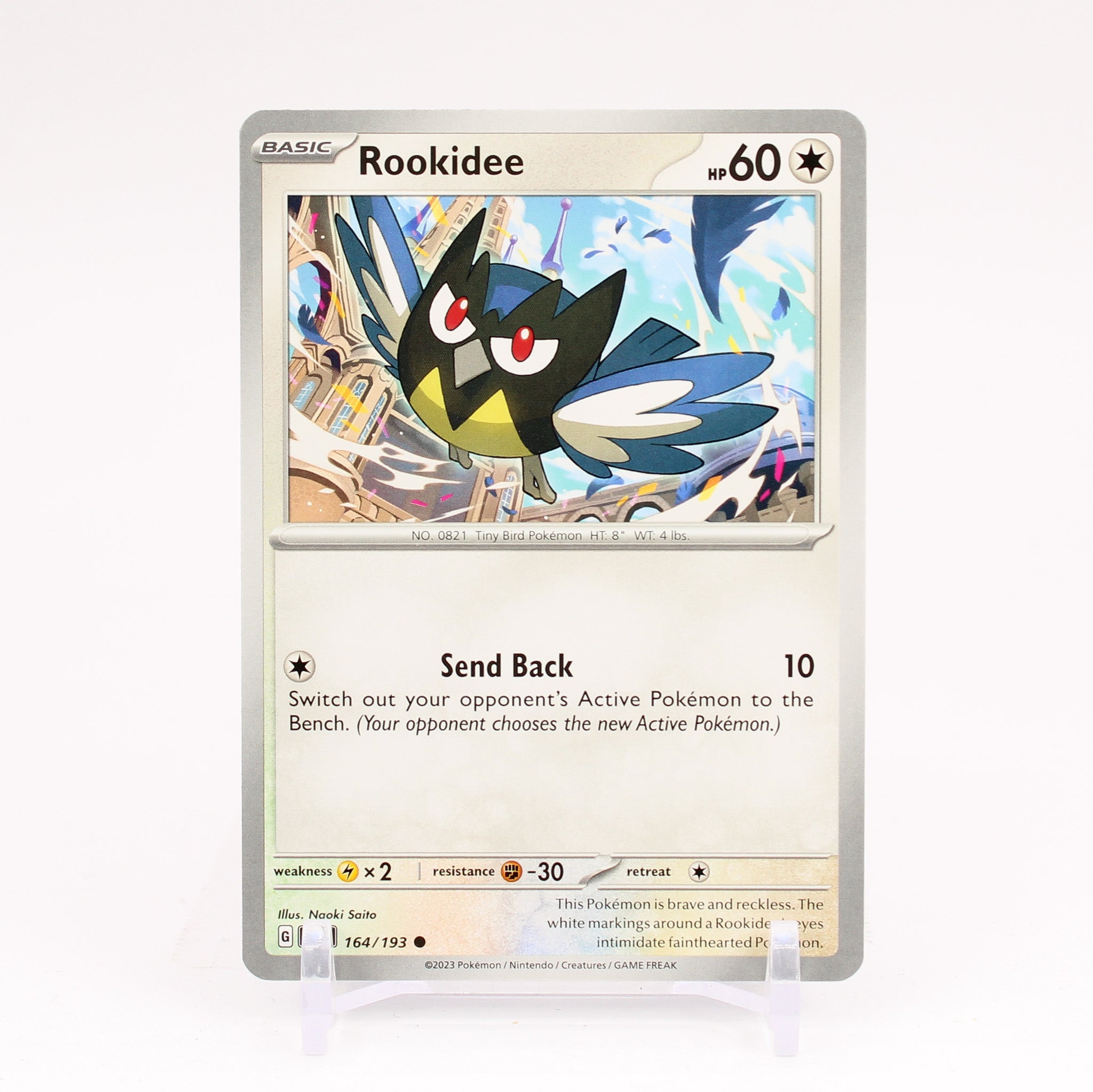 Zapdos - 23 Promo Vintage Black Star Legendary Bird Pokemon - NM/MINT – The  PokéTrade Emporium