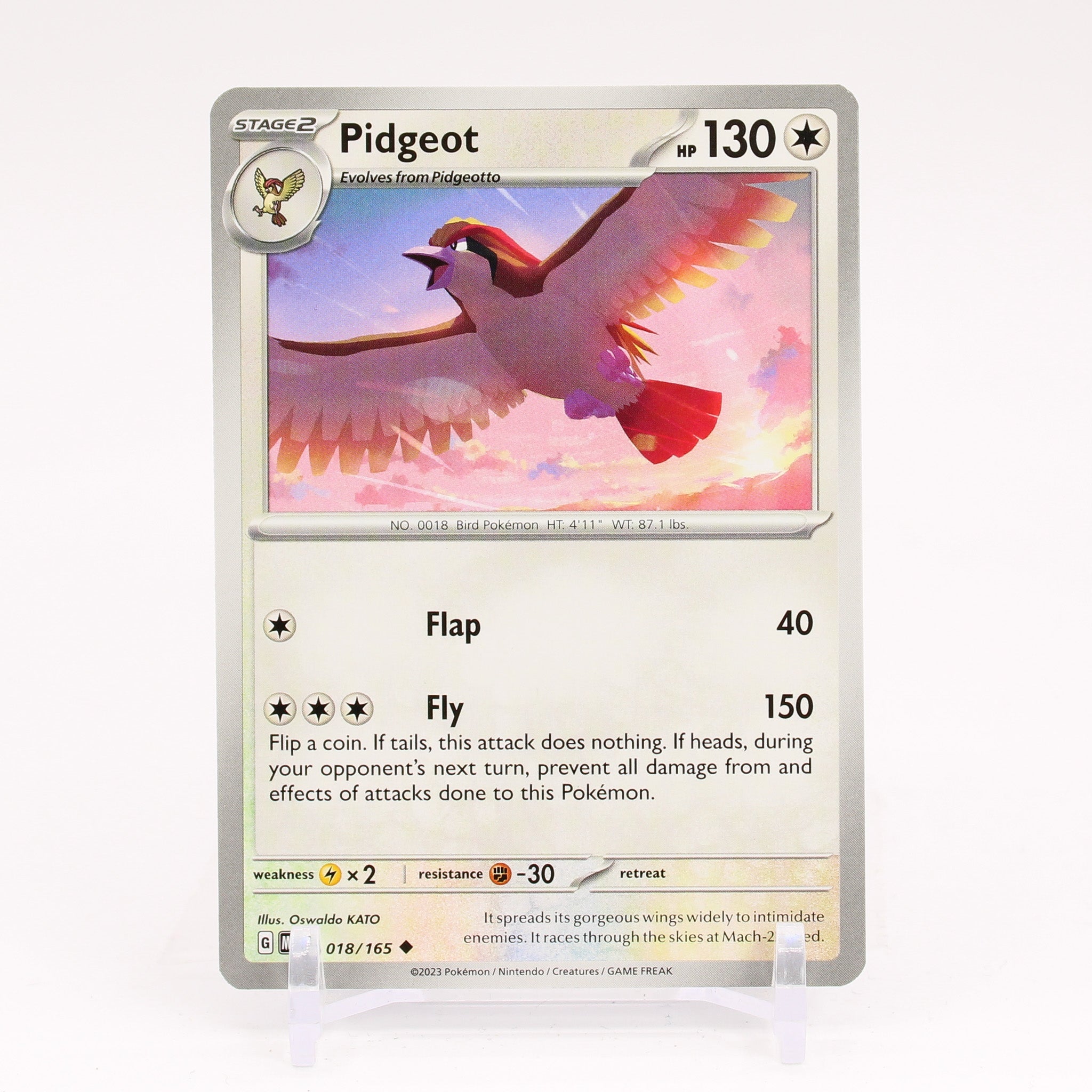 Zapdos - 23 Promo Vintage Black Star Legendary Bird Pokemon - NM/MINT – The  PokéTrade Emporium