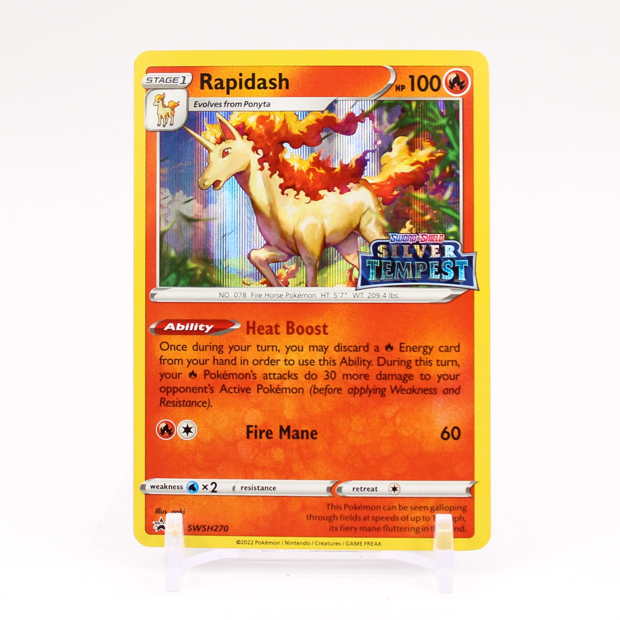 pokemon rapidash card