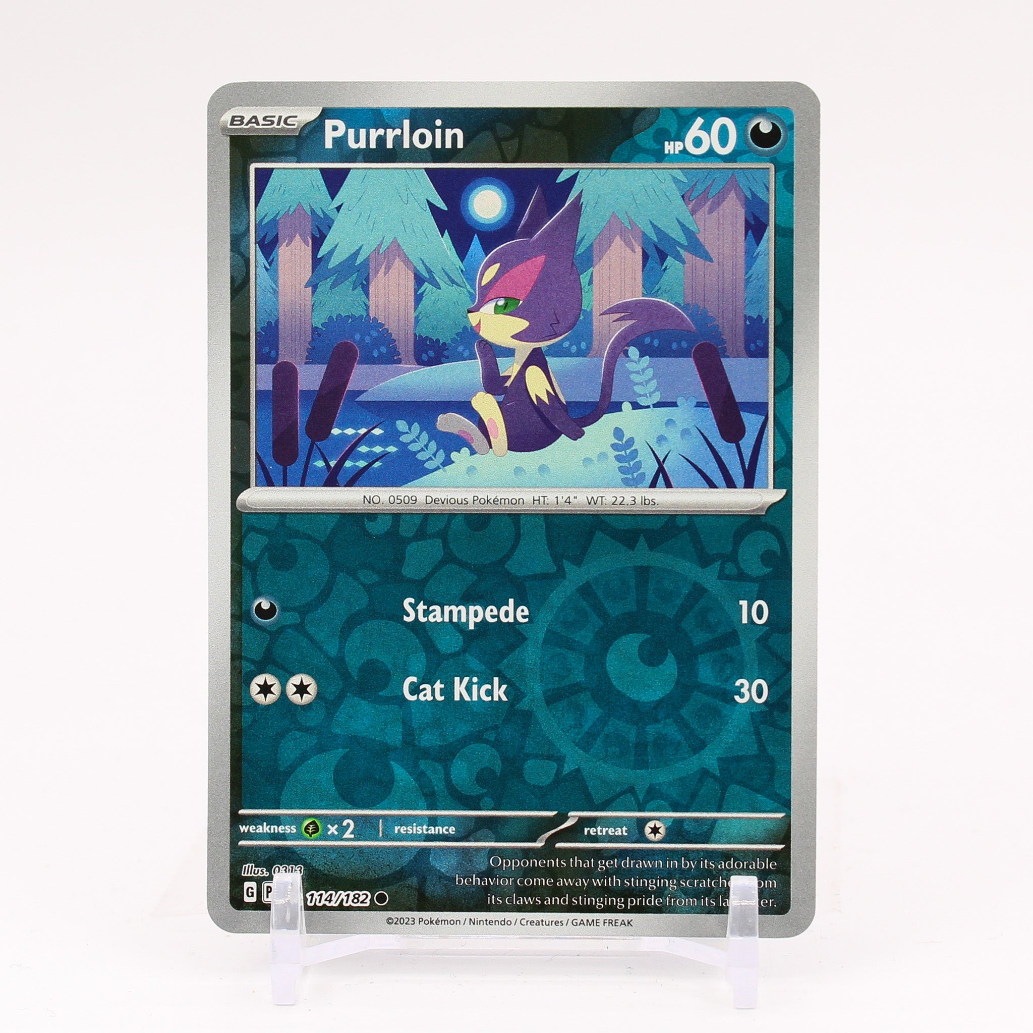 Purrloin - 114/182 Paradox Rift Reverse Holo Pokemon - NM/MINT