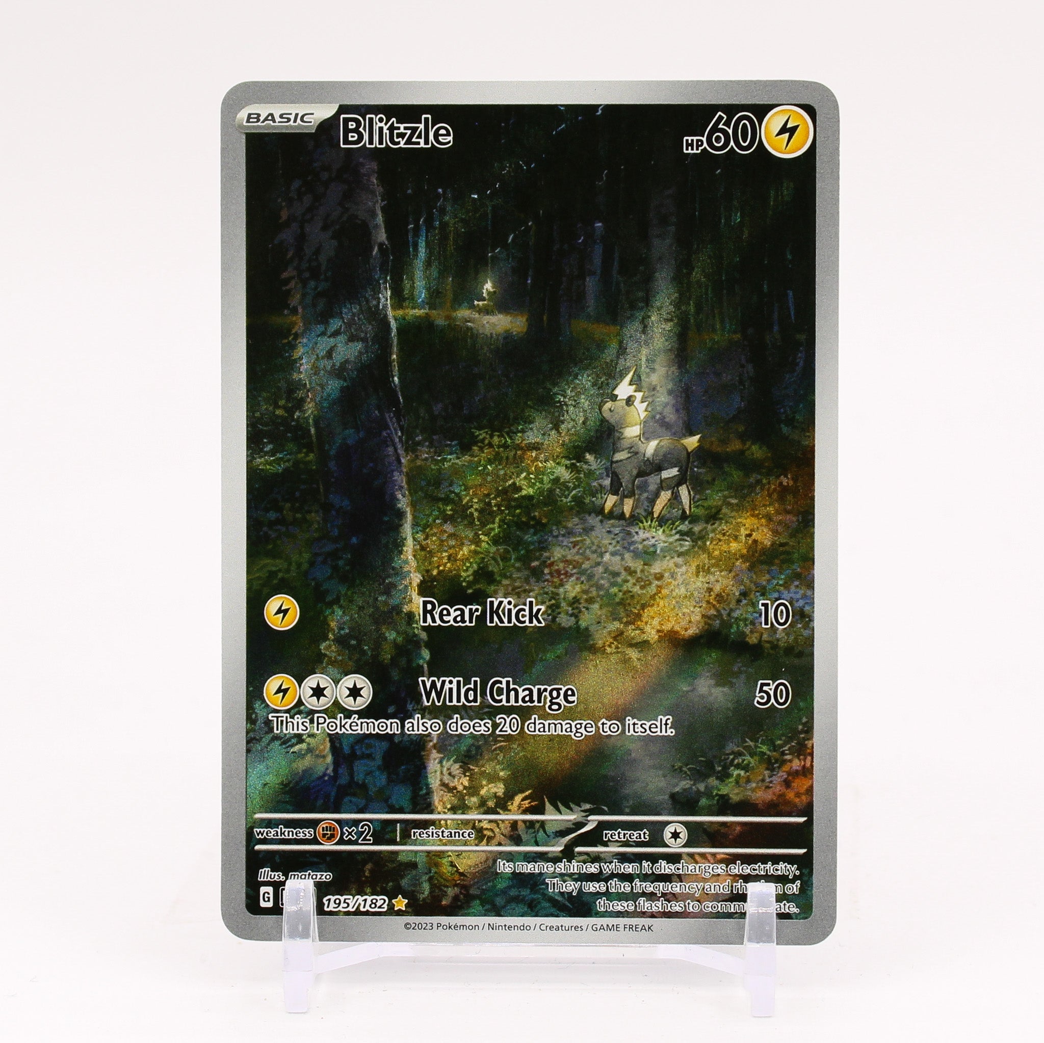 Blitzle - 195/182 Paradox Rift Illustration Rare Pokemon - NM/MINT