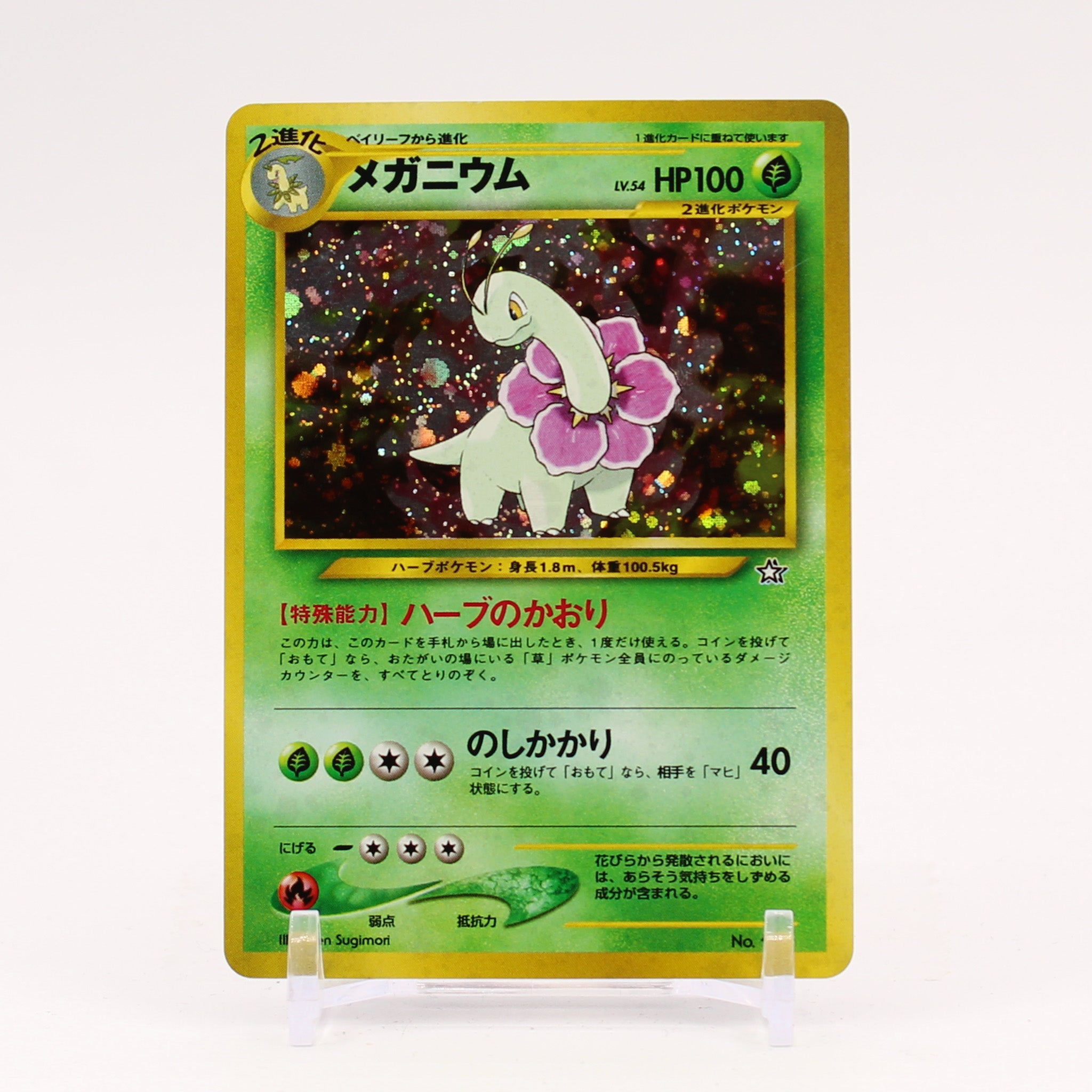 Meganium - Japanese Neo Premium File Promo Holo Pokemon - NM