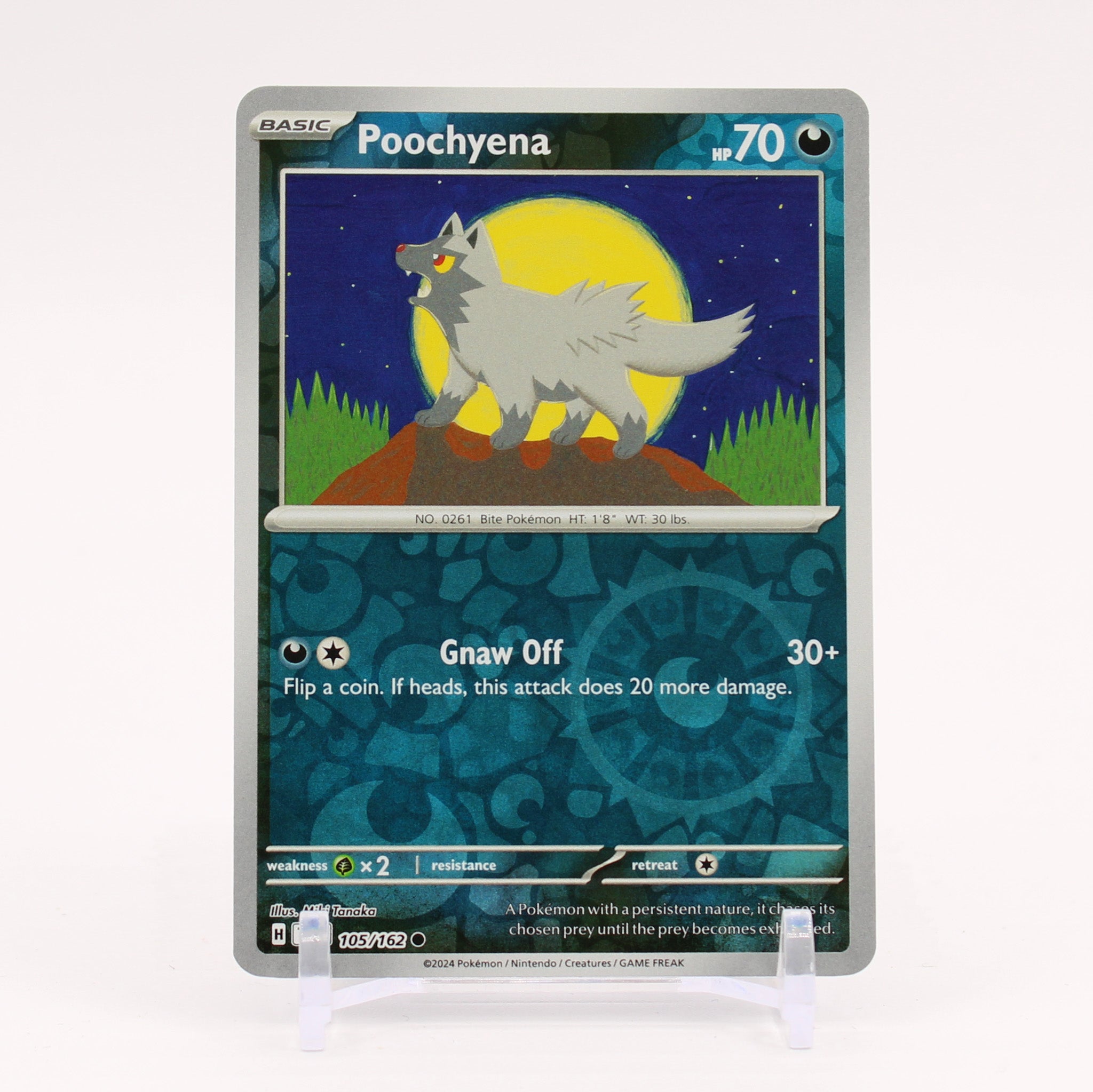 Poochyena - 105/62 Temporal Forces Reverse Holo Pokemon - NM/MINT