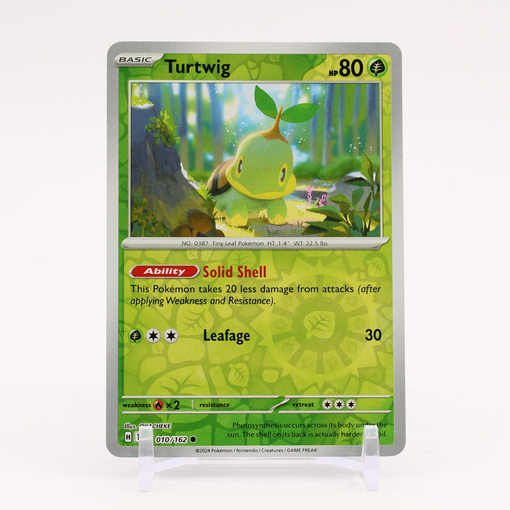 Turtwig - 010/162 Temporal Forces Reverse Holo Pokemon - NM/MINT