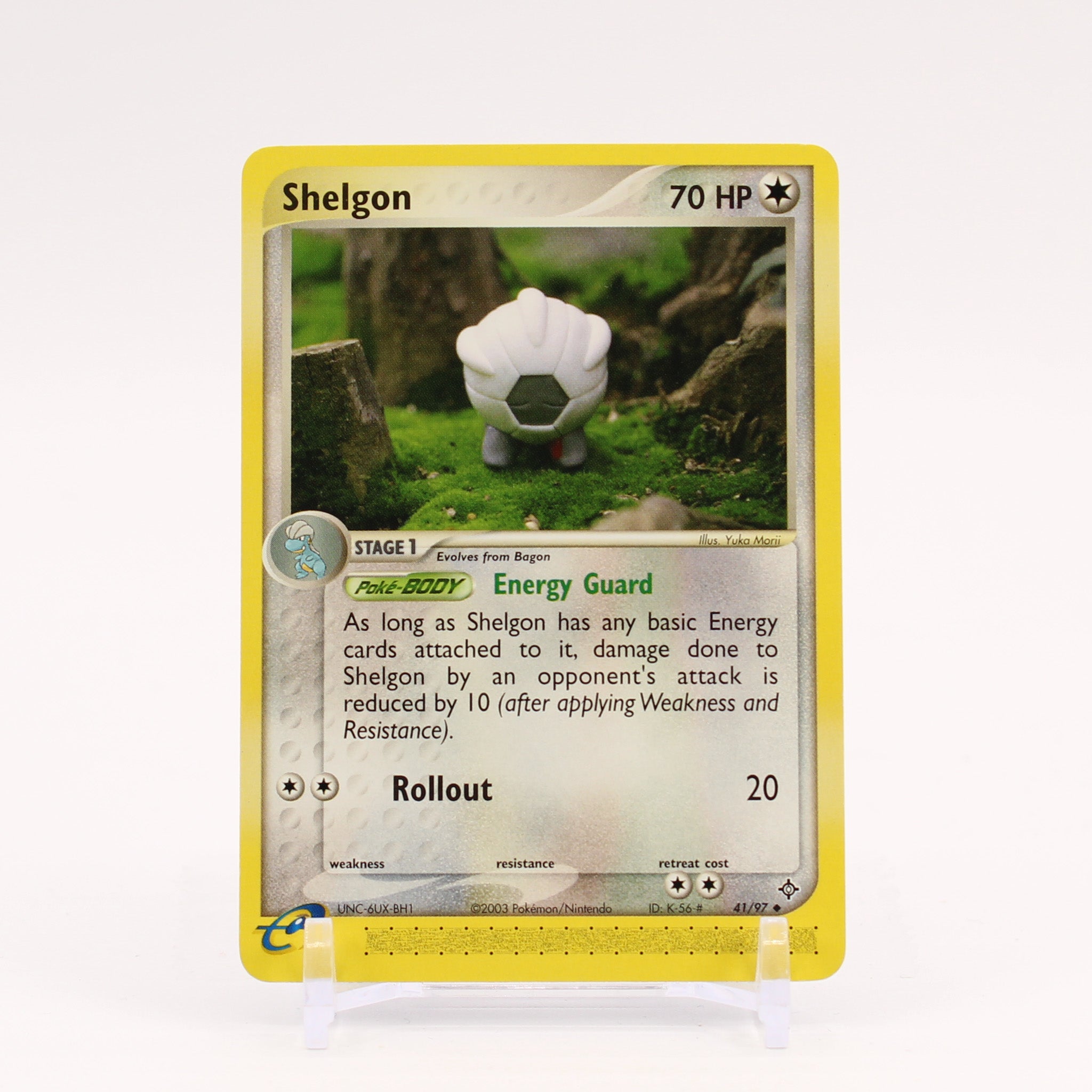 Shelgon - 41/97 Dragon Pokemon - NM