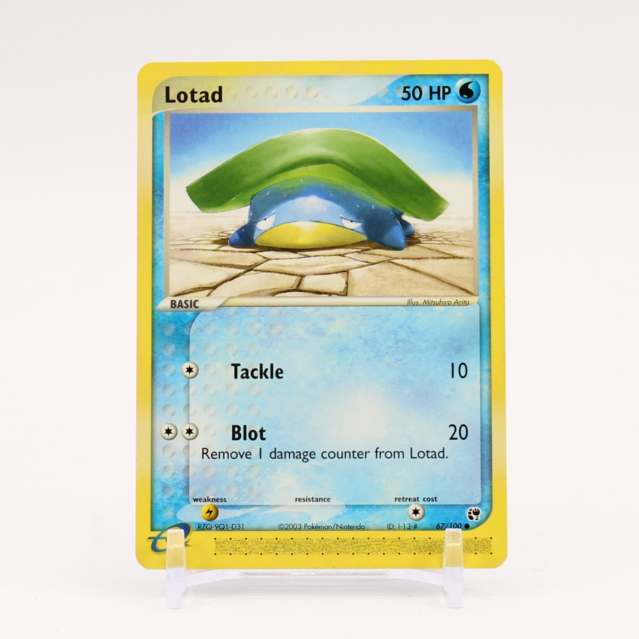 Lotad - 67/100 Sandstorm Pokemon - NM