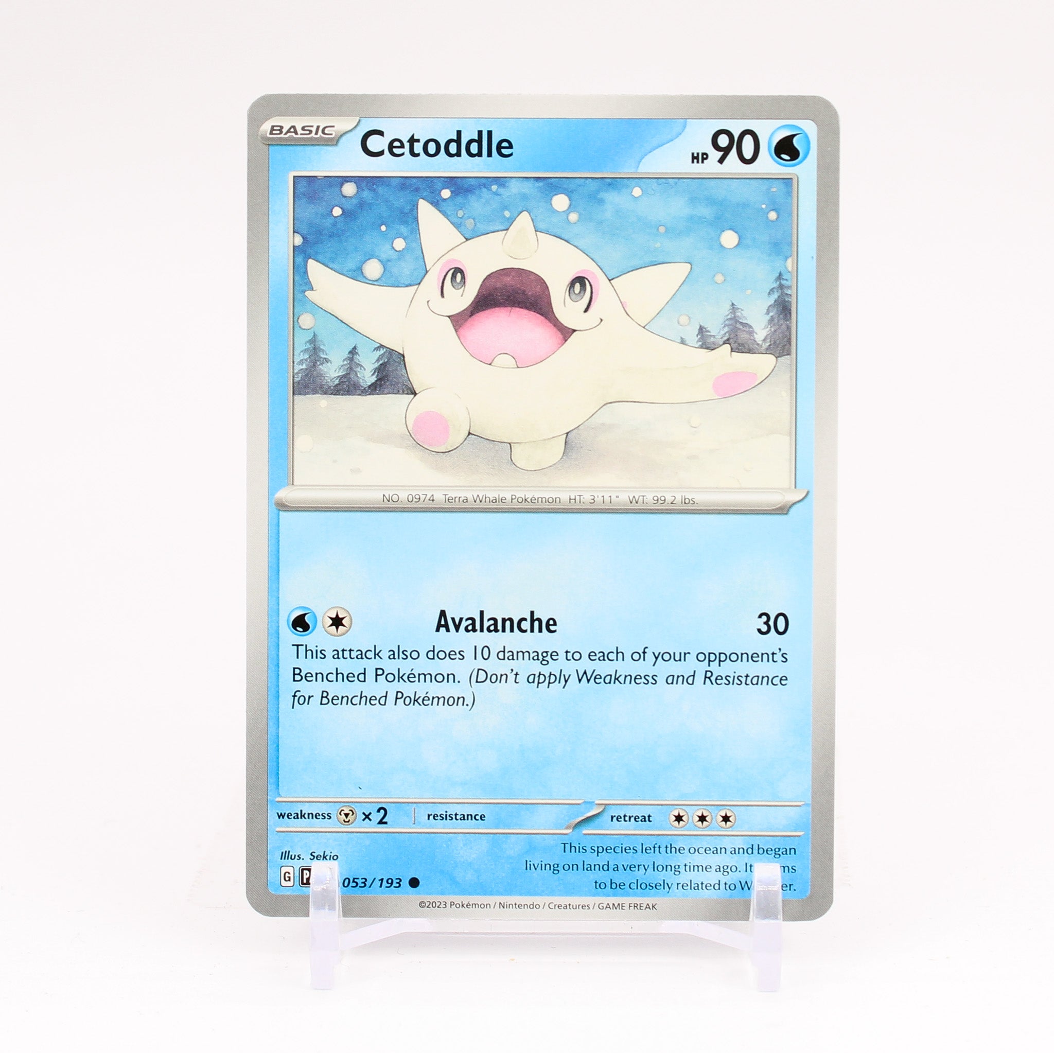 Cetoddle - 053/193 Paldea Evolved Common Pokemon - NM/MINT