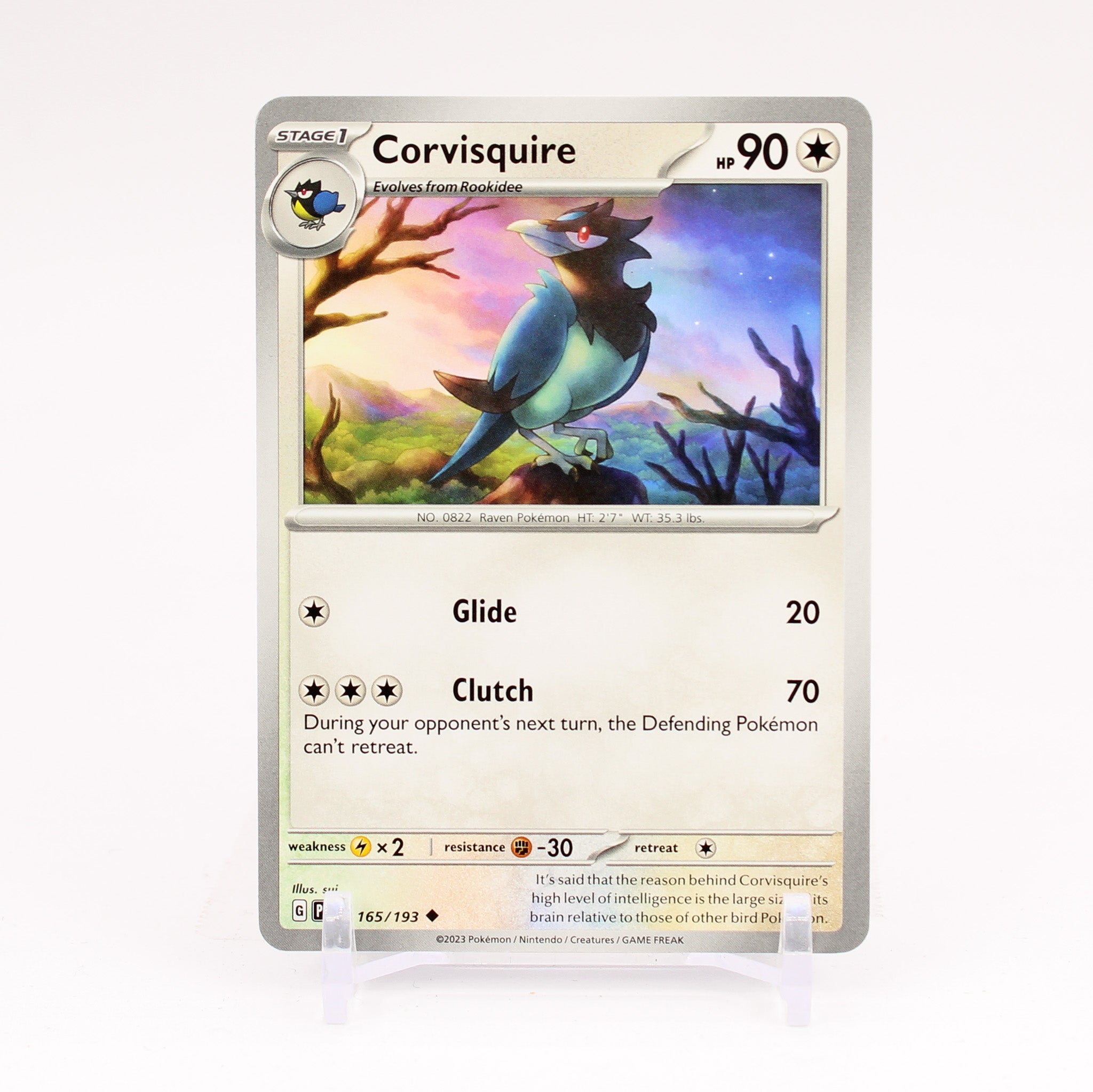 Corvisquire - 165/193 Paldea Evolved Common Pokemon - NM/MINT