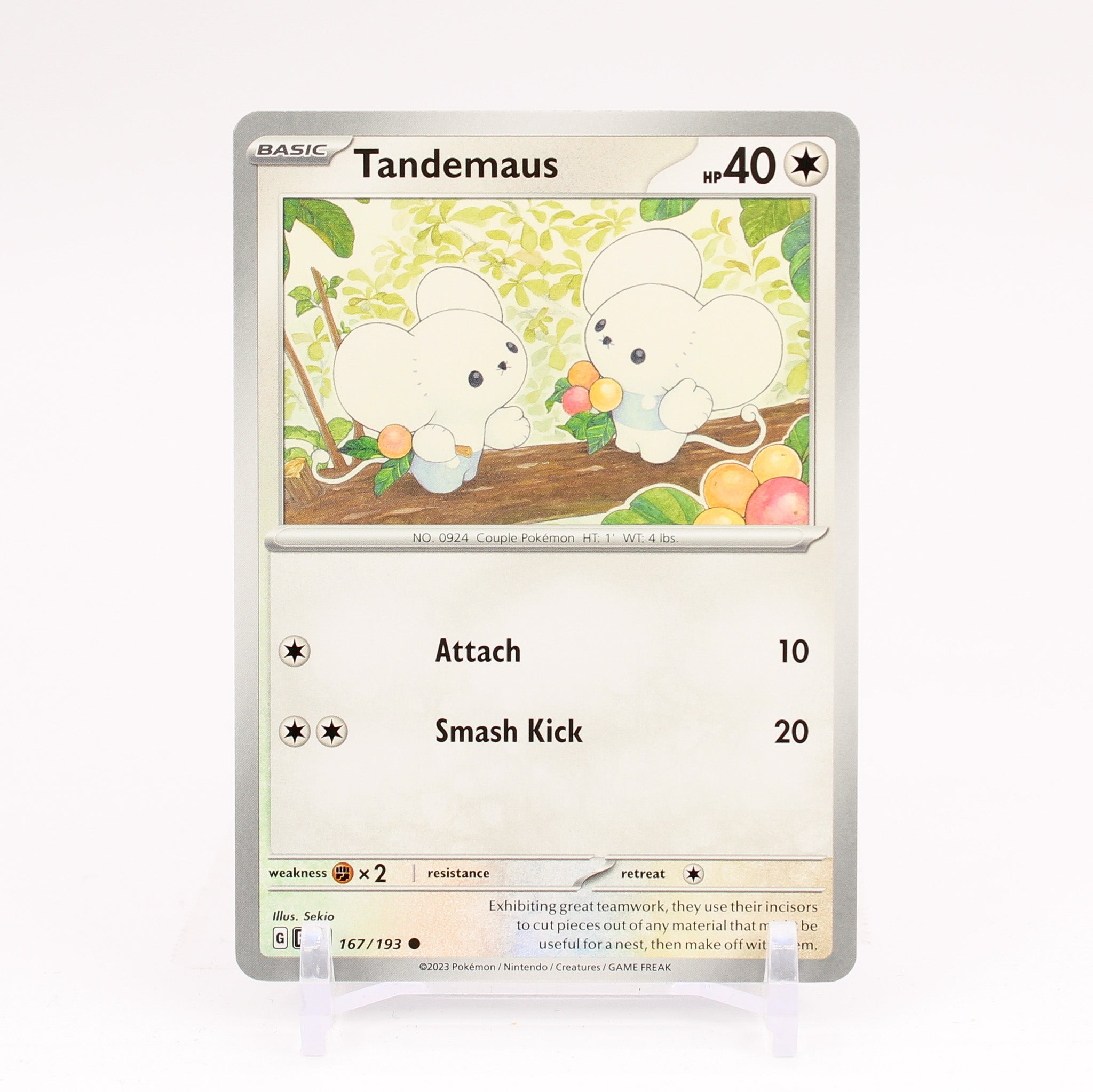 Tandemaus - 167/193 Paldea Evolved Common Pokemon - NM/MINT
