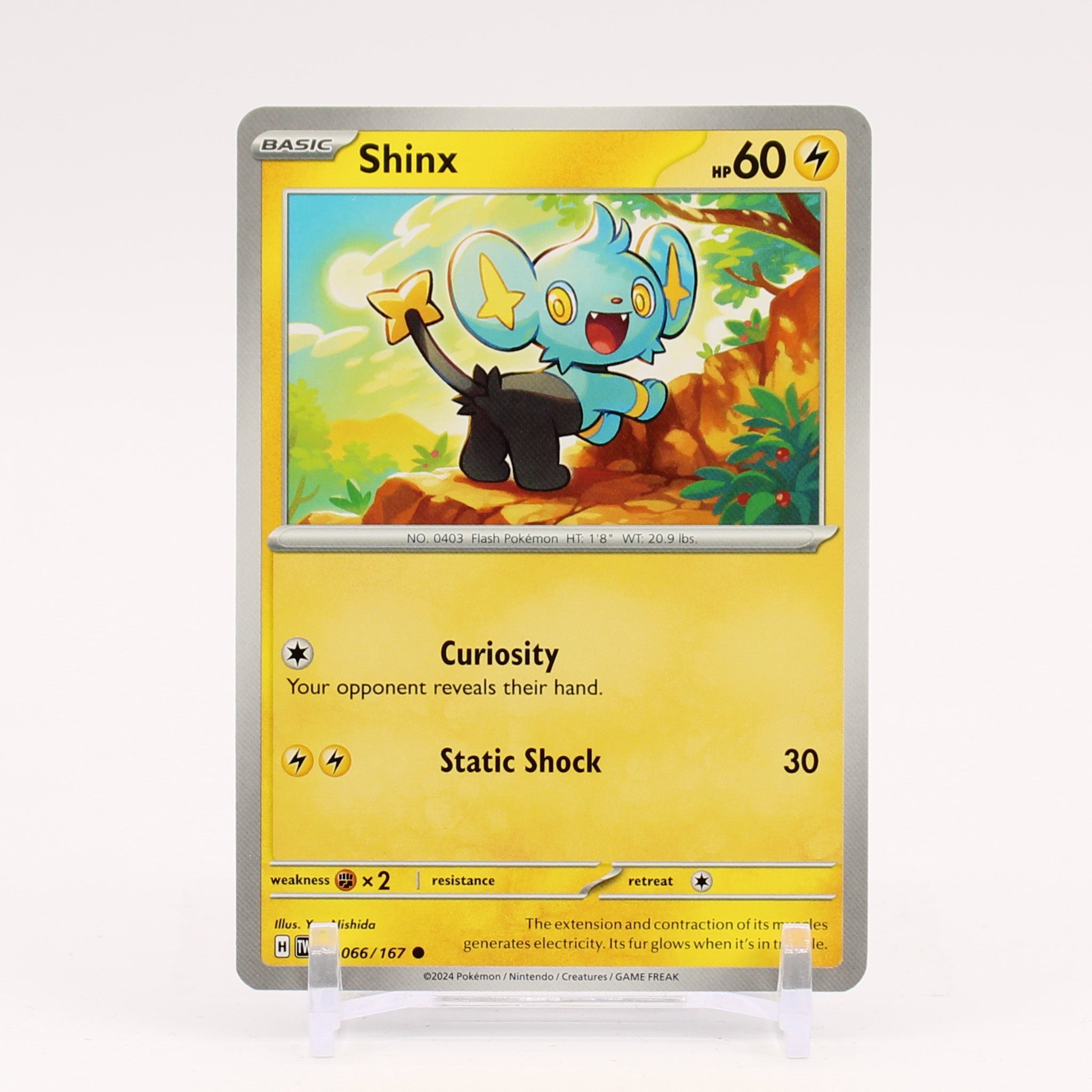 Shinx - 066/167 Twilight Masquerade Pokemon - NM/MINT