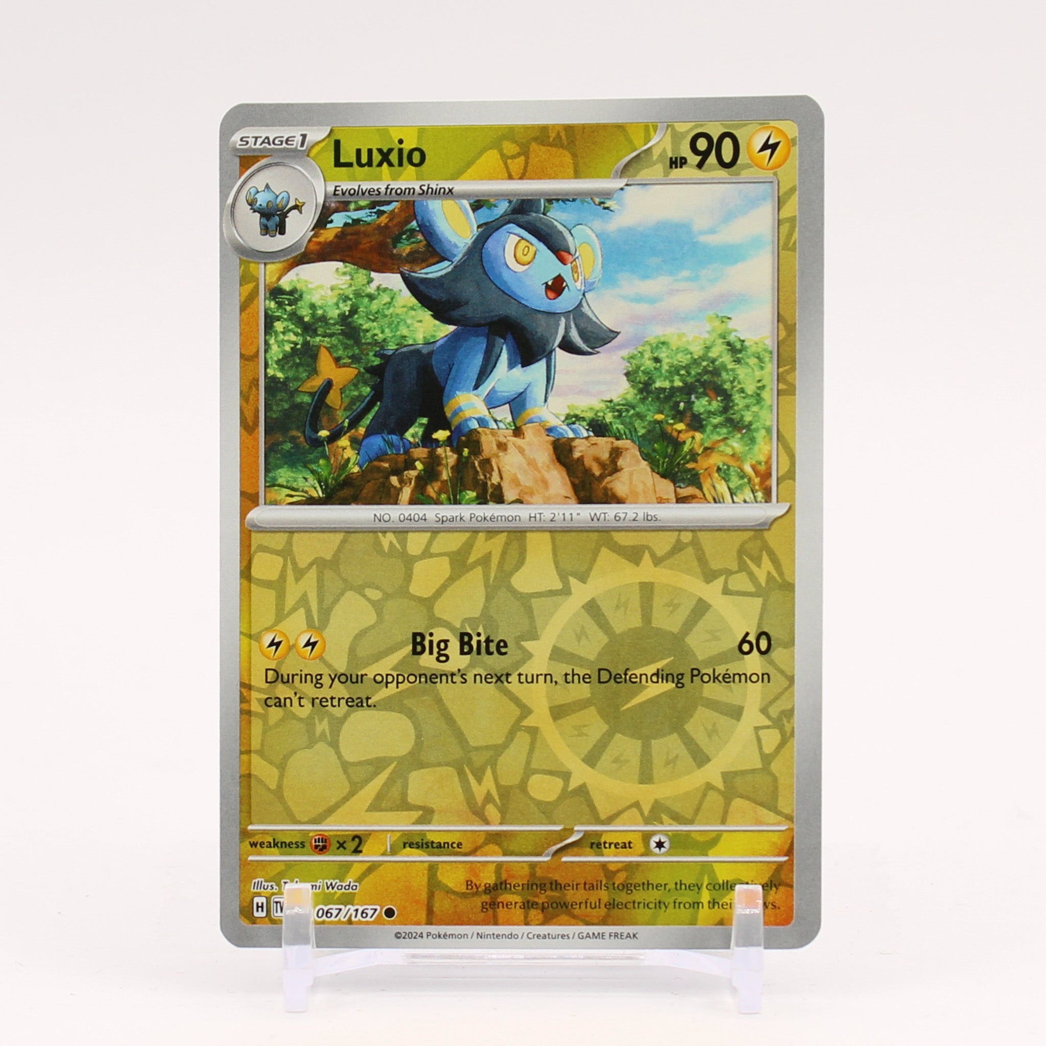 Luxio - 067/167 Twilight Masquerade REVERSE Holo Pokemon - NM/MINT