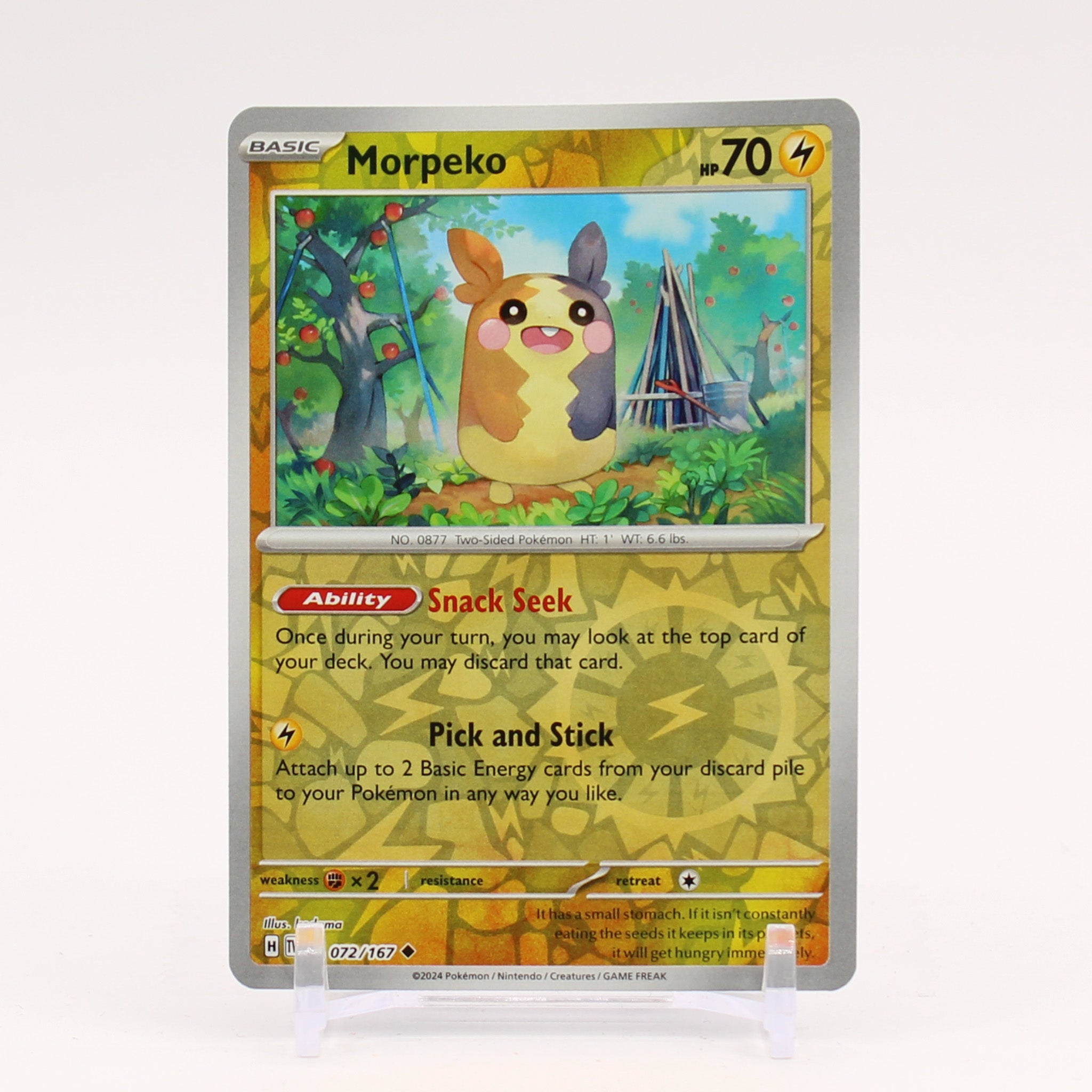 Morpeko - 072/167 Twilight Masquerade REVERSE Holo Pokemon - NM/MINT