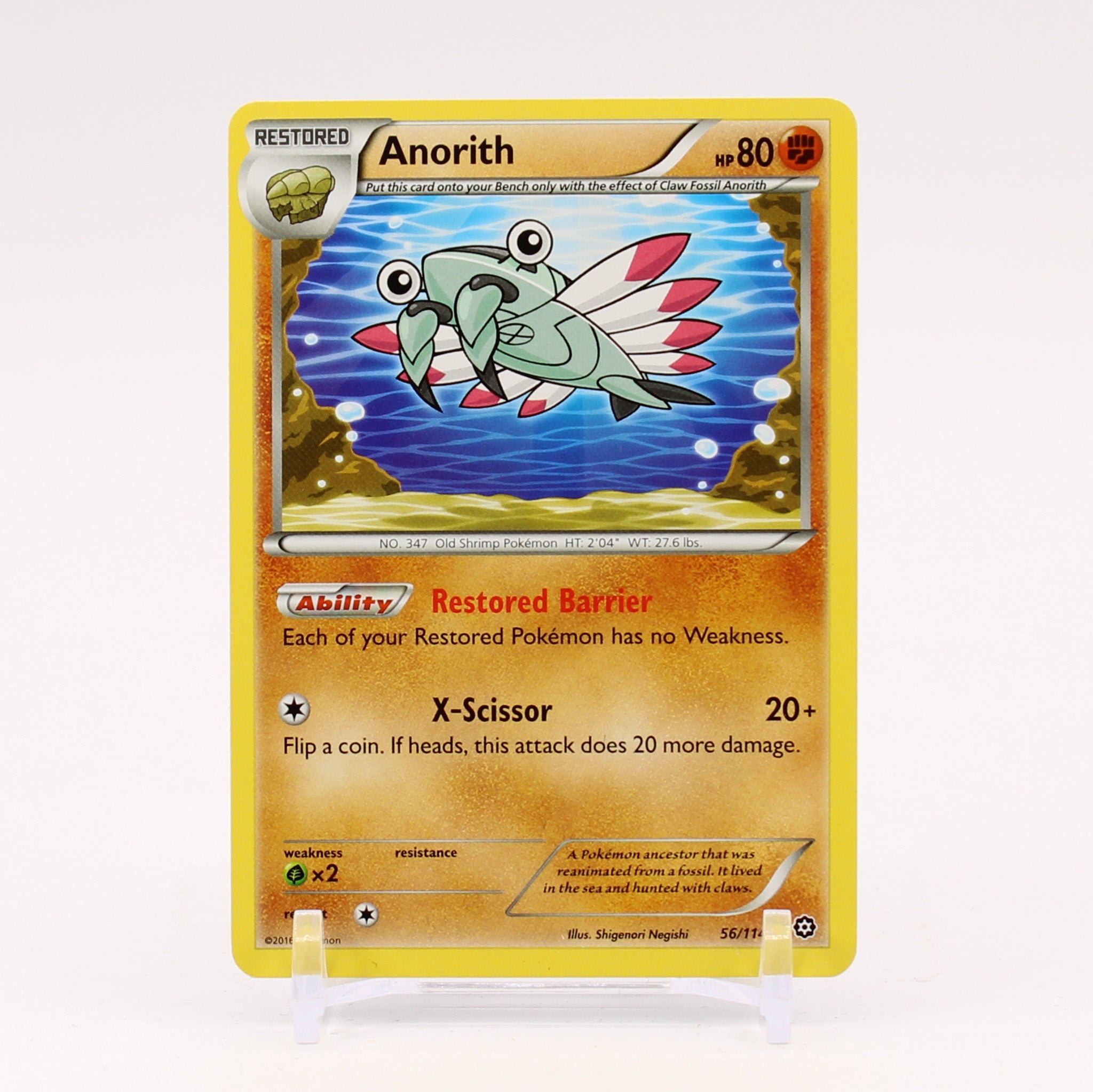 Anorith - 56/114 Steam Siege Pokemon - NM