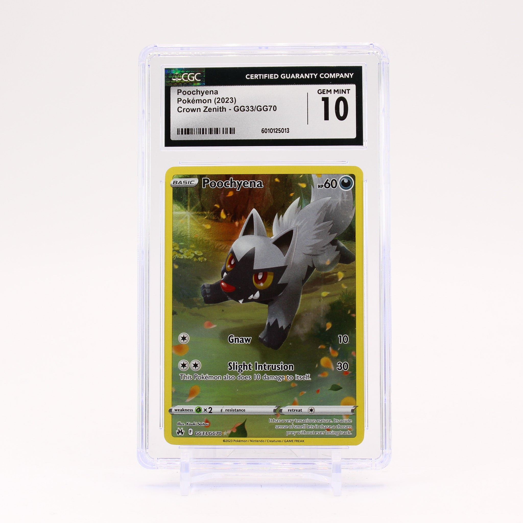 Poochyena - GG33/GG70 CGC 10 Crown Zenith Gallery Pokemon - GEM MINT