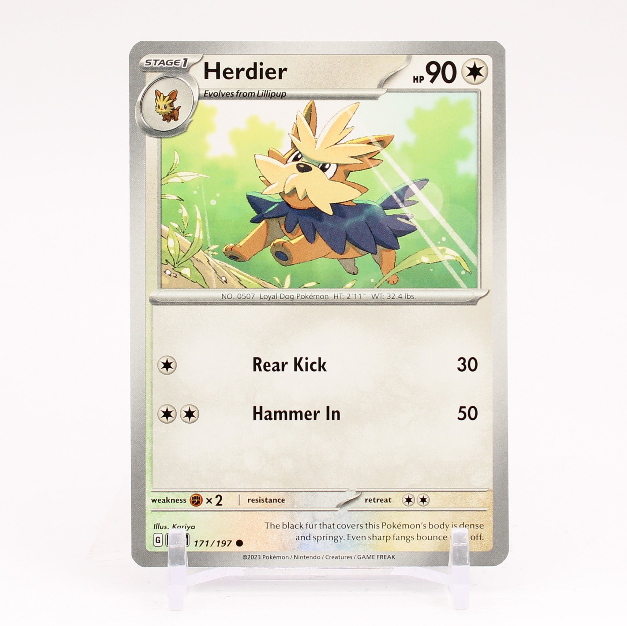 Herdier - 171/197 Obsidian Flames Common Pokemon - NM/MINT