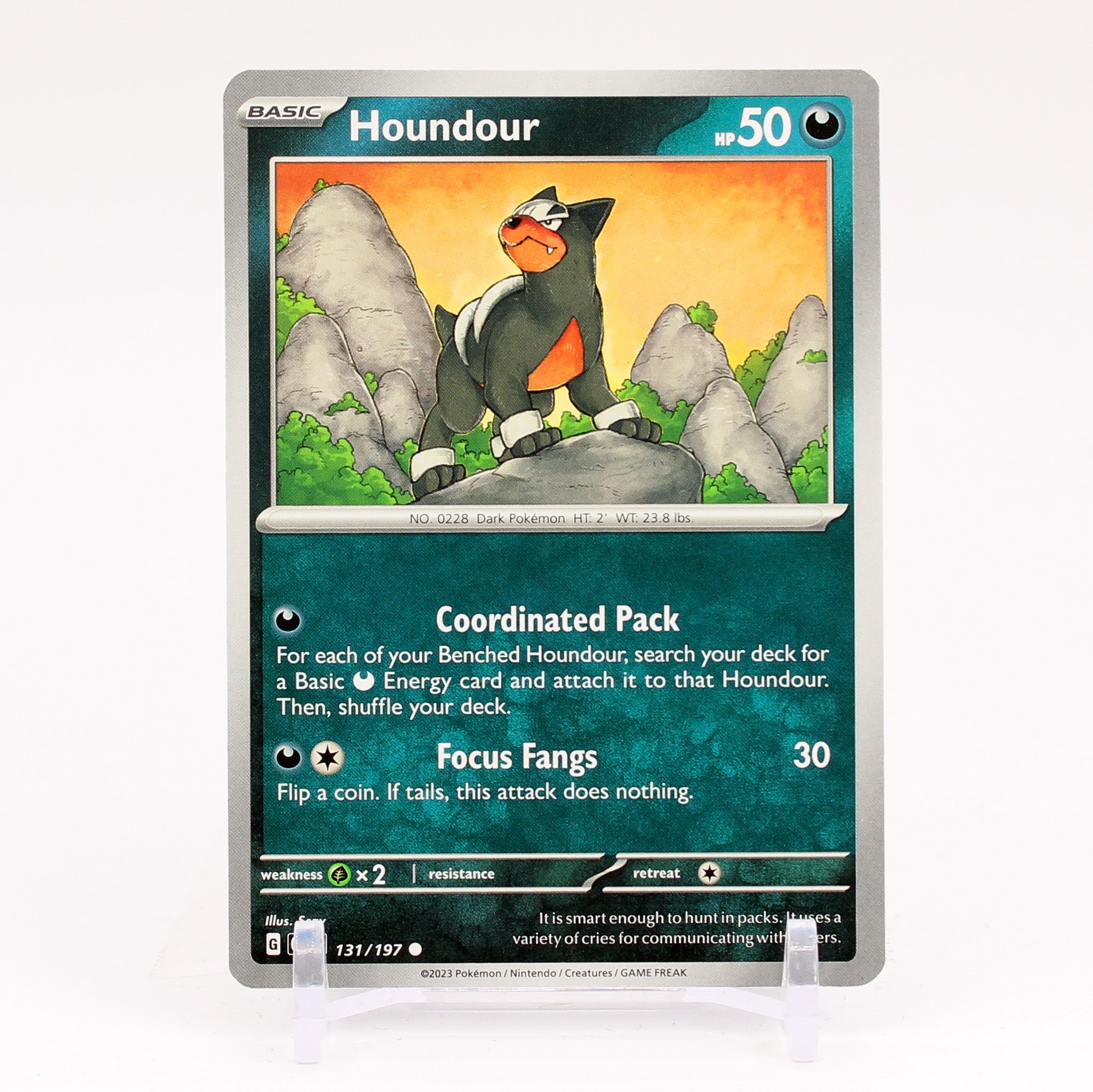 Houndour - 131/197 Obsidian Flames Common Pokemon - NM/MINT