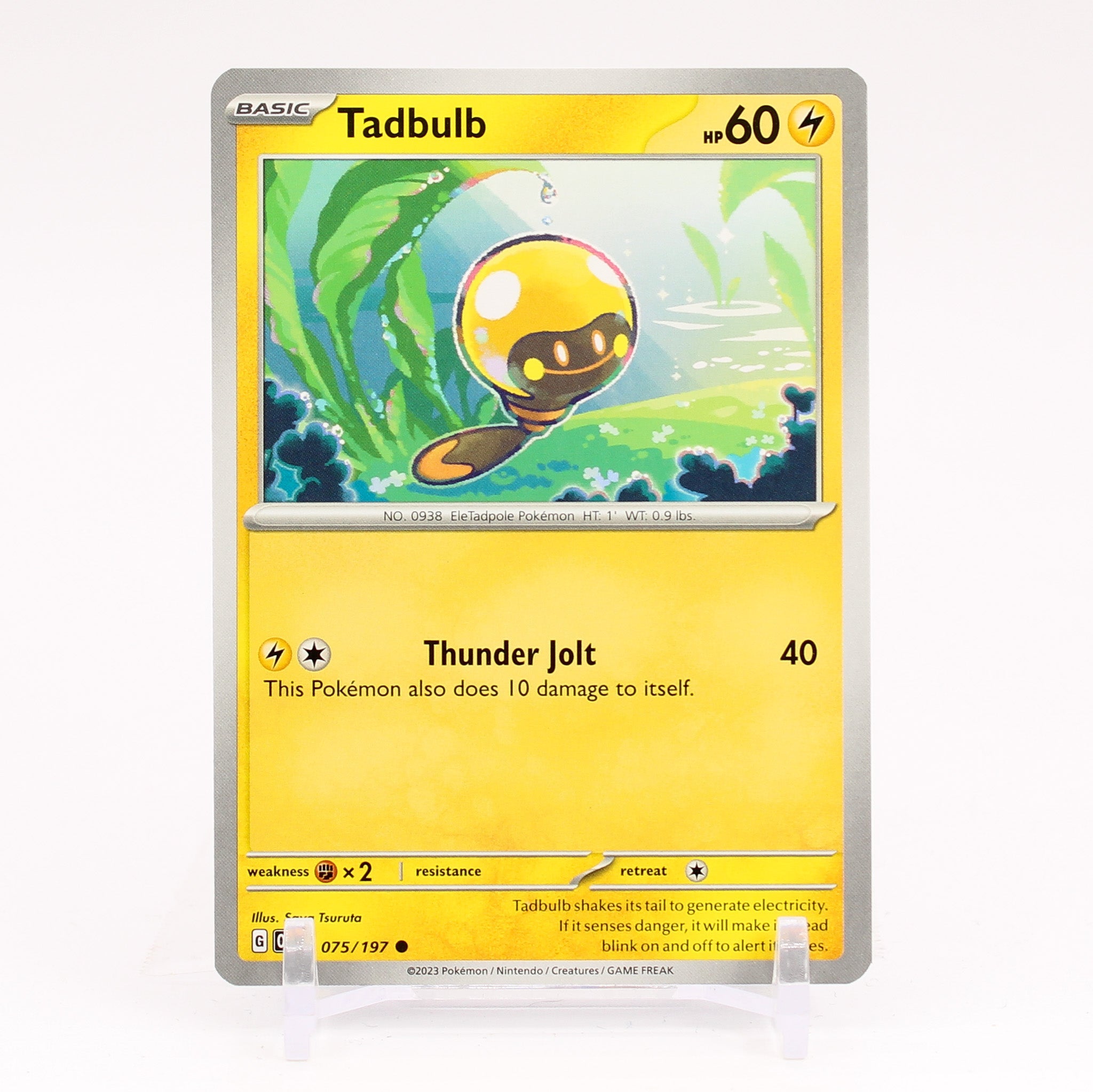 Tadbulb - 075/197 Obsidian Flames Common Pokemon - NM/MINT