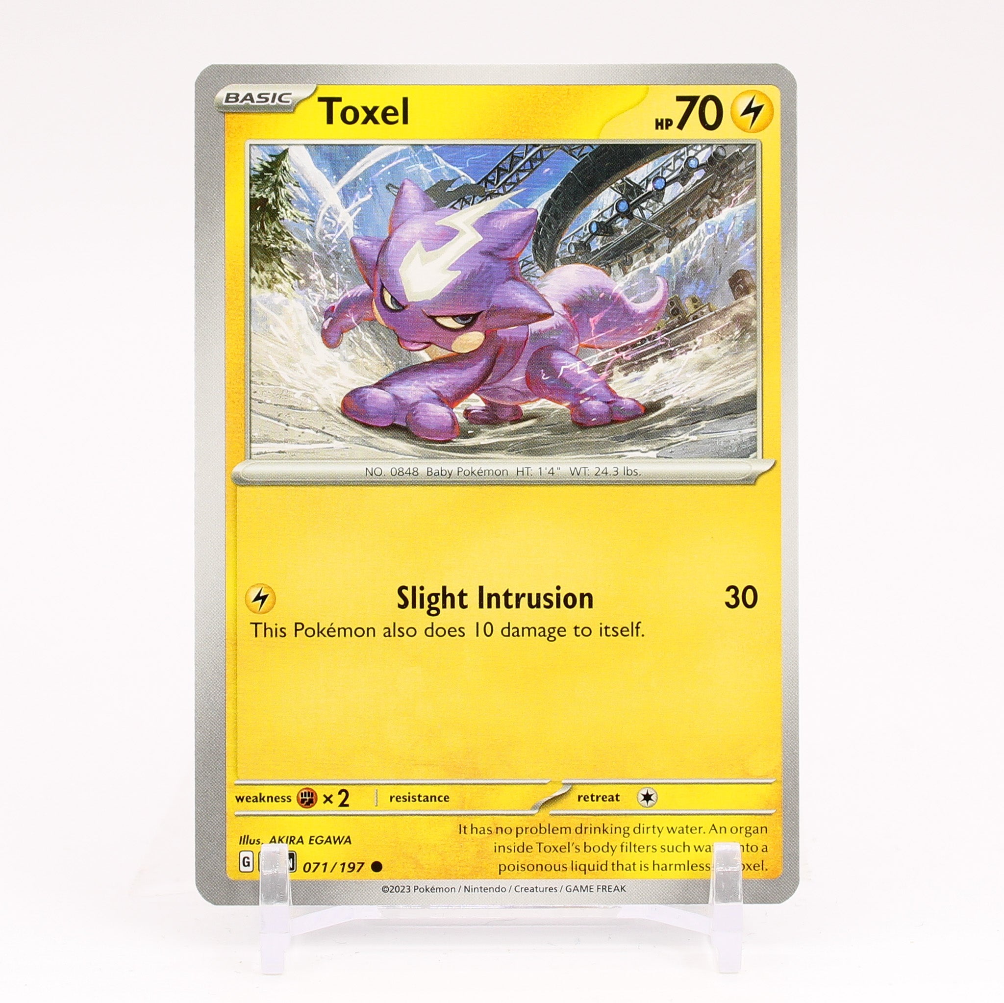 Toxel - 071/197 Obsidian Flames Common Pokemon - NM/MINT