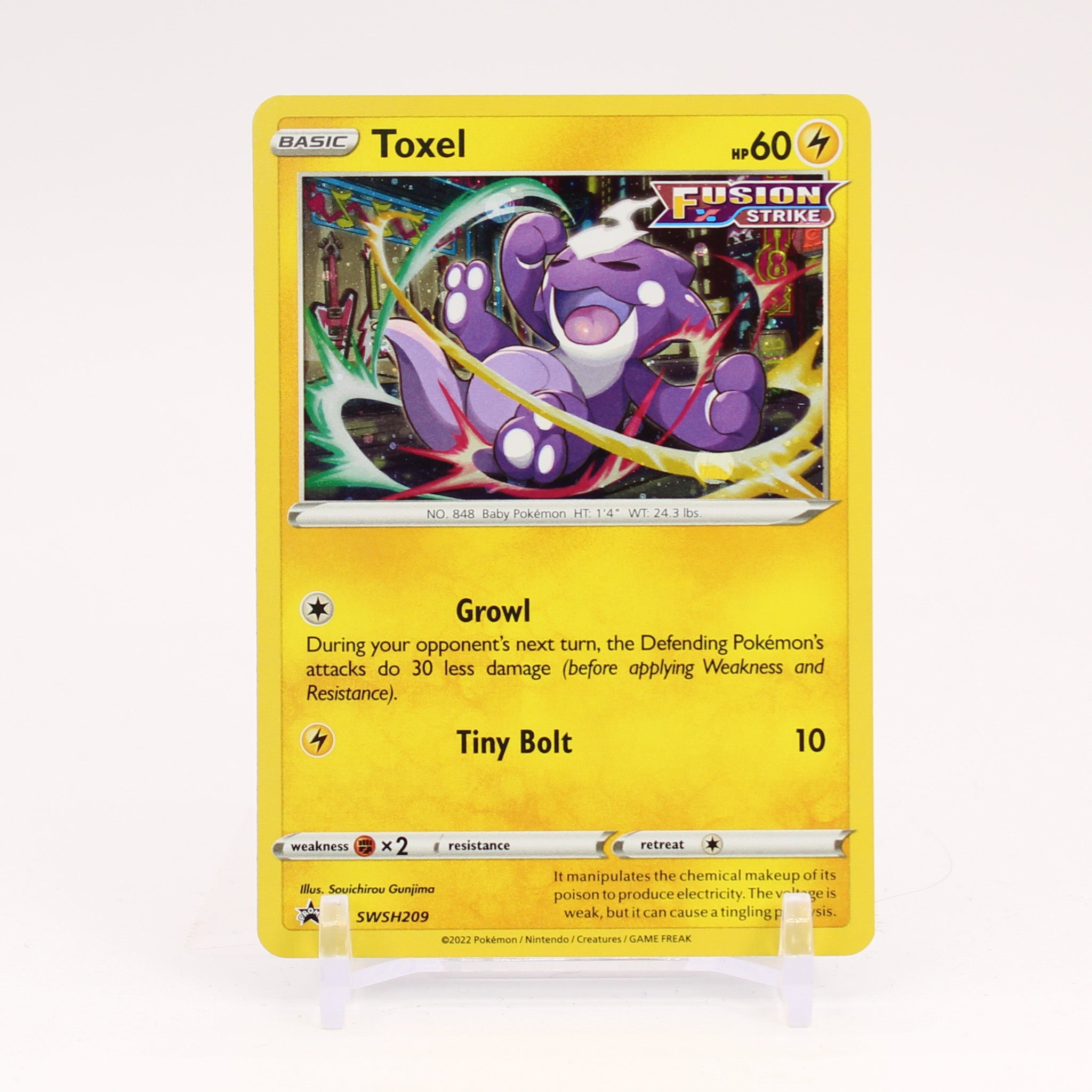 Toxel - SWSH209 Sword & Shield Promo Holo Pokemon - NM/MINT