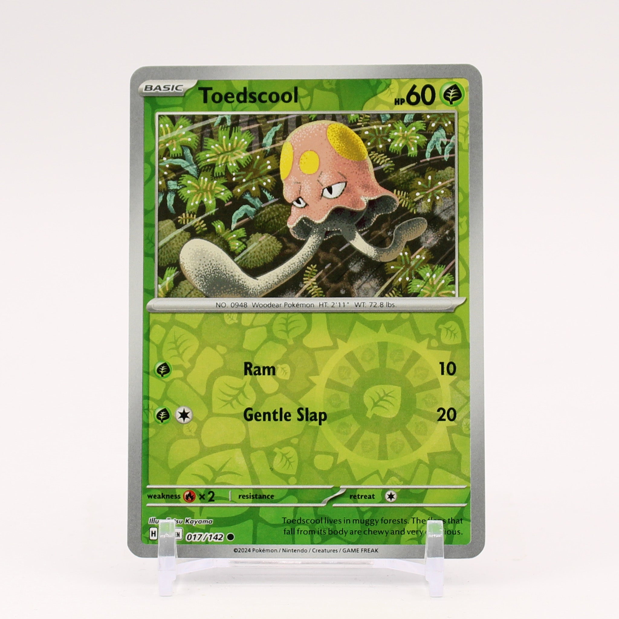 Toedscool - 017/142 Stellar Crown REVERSE Holo Pokemon - NM/MINT