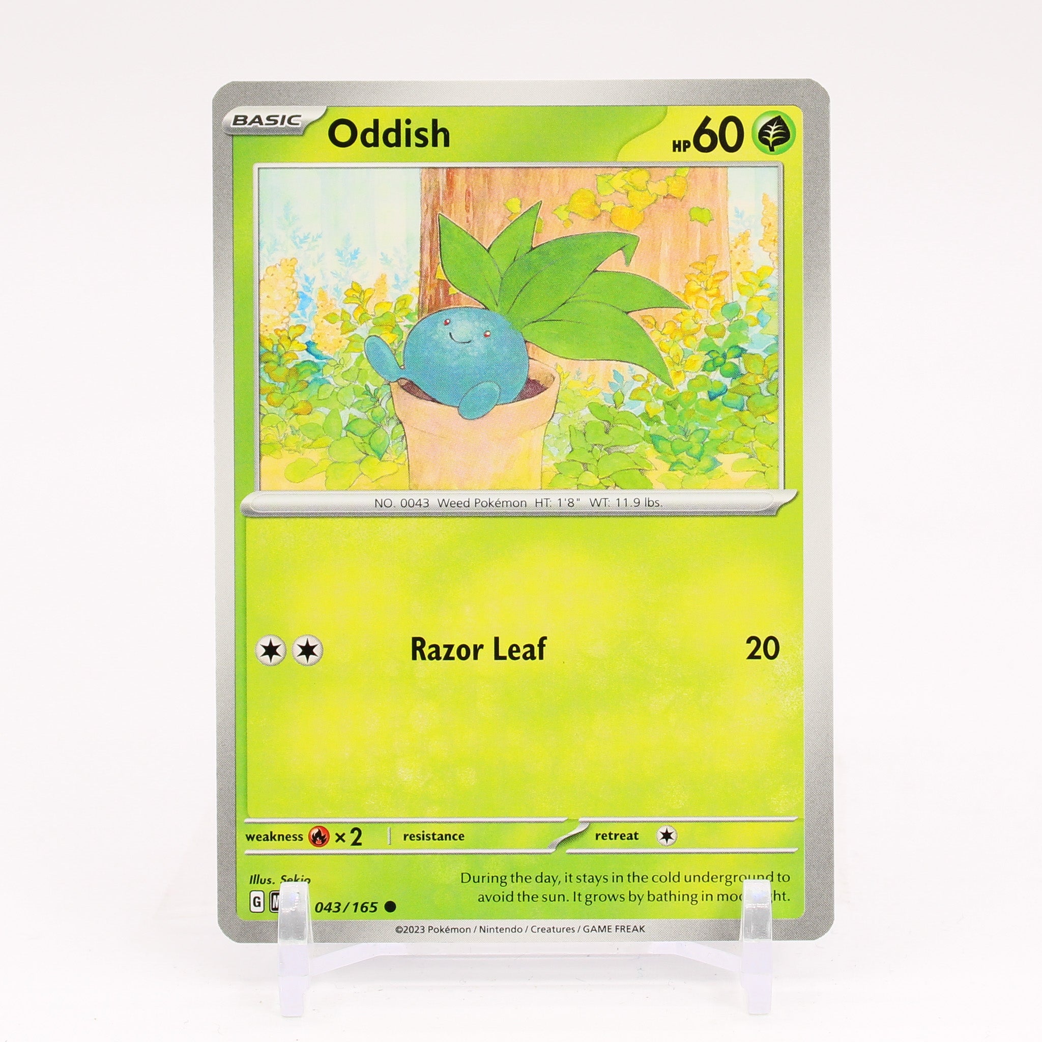 Oddish - 043/165 151 Common Pokemon - NM/MINT