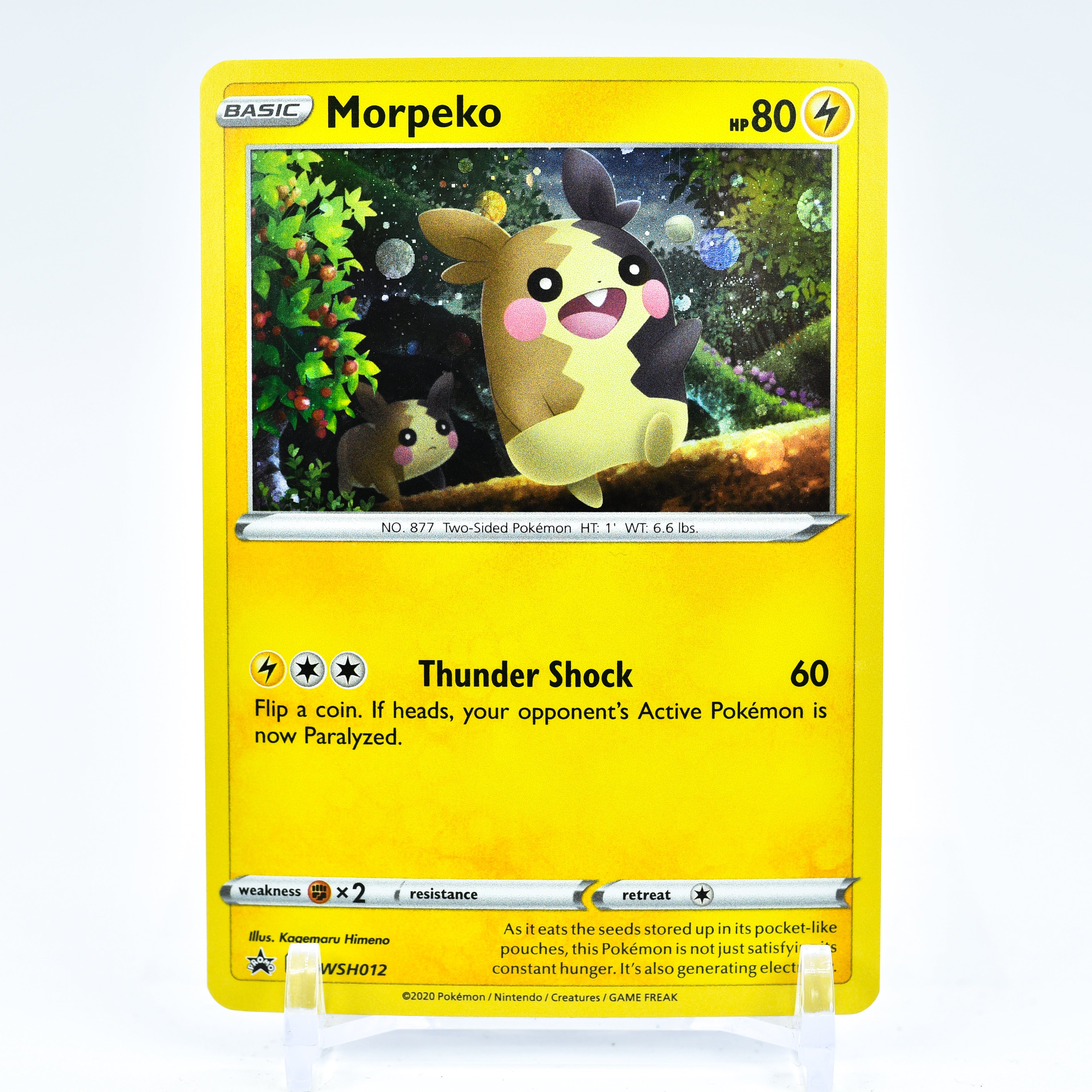 Morpeko - SWSH012 Black Star Promo Holo Pokemon - NM/MINT