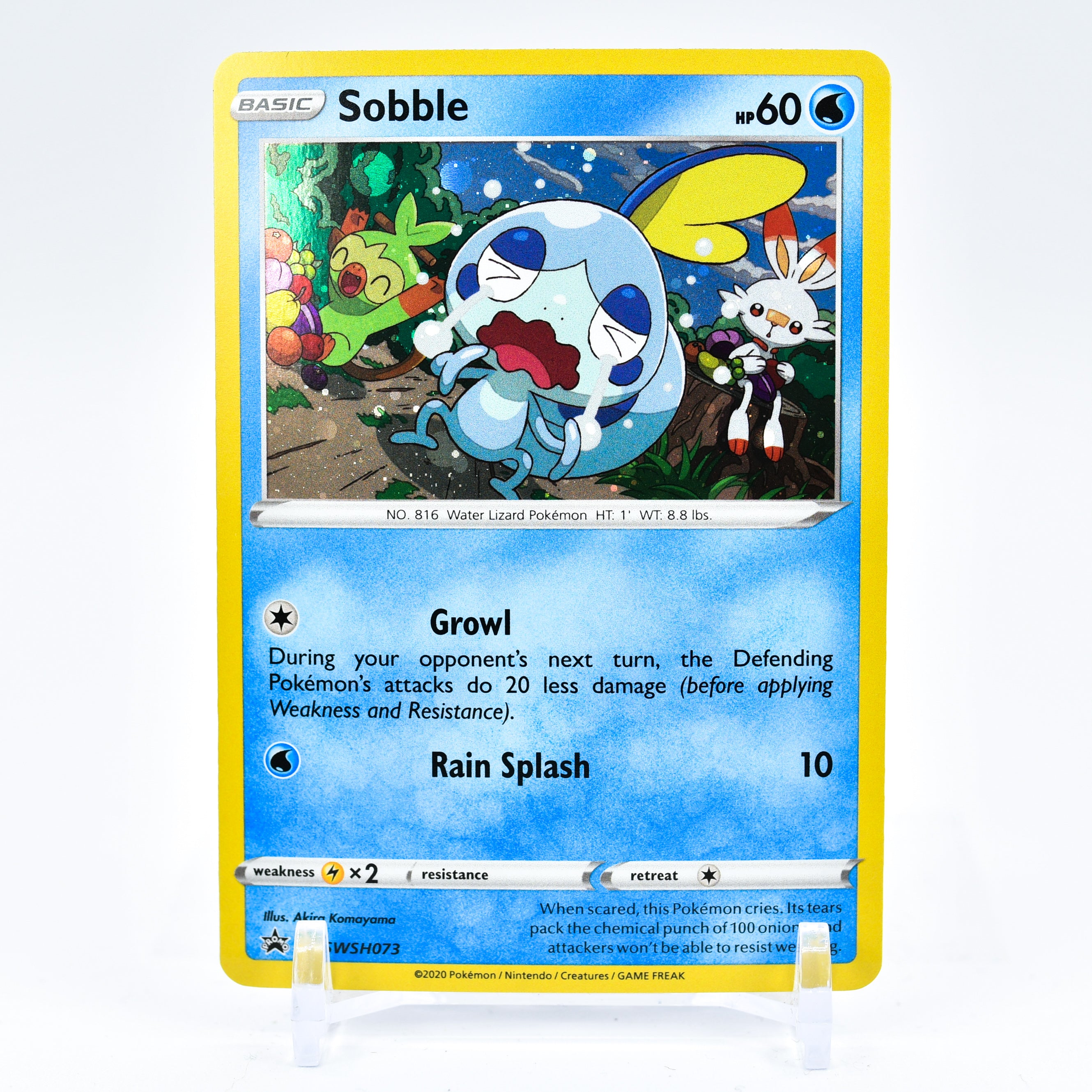 Sobble - SWSH073 Black Star Promo Holo Pokemon - NM/MINT