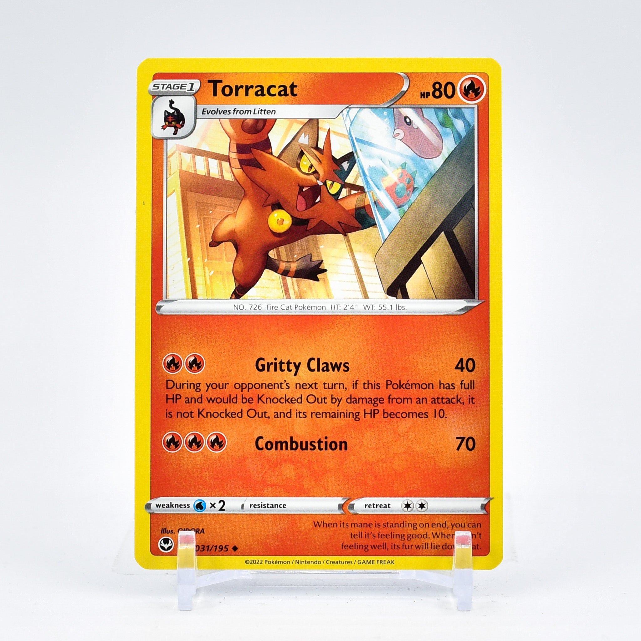 Torracat - 031/195 Silver Tempest Uncommon Pokemon - NM/MINT