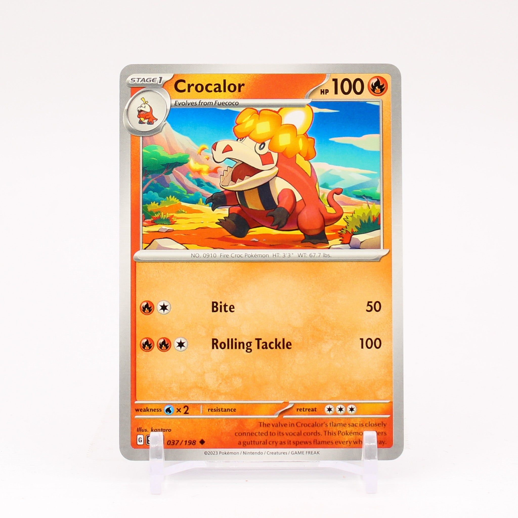 Crocalor - 037/198 Scarlet & Violet Uncommon Pokemon - NM/MINT