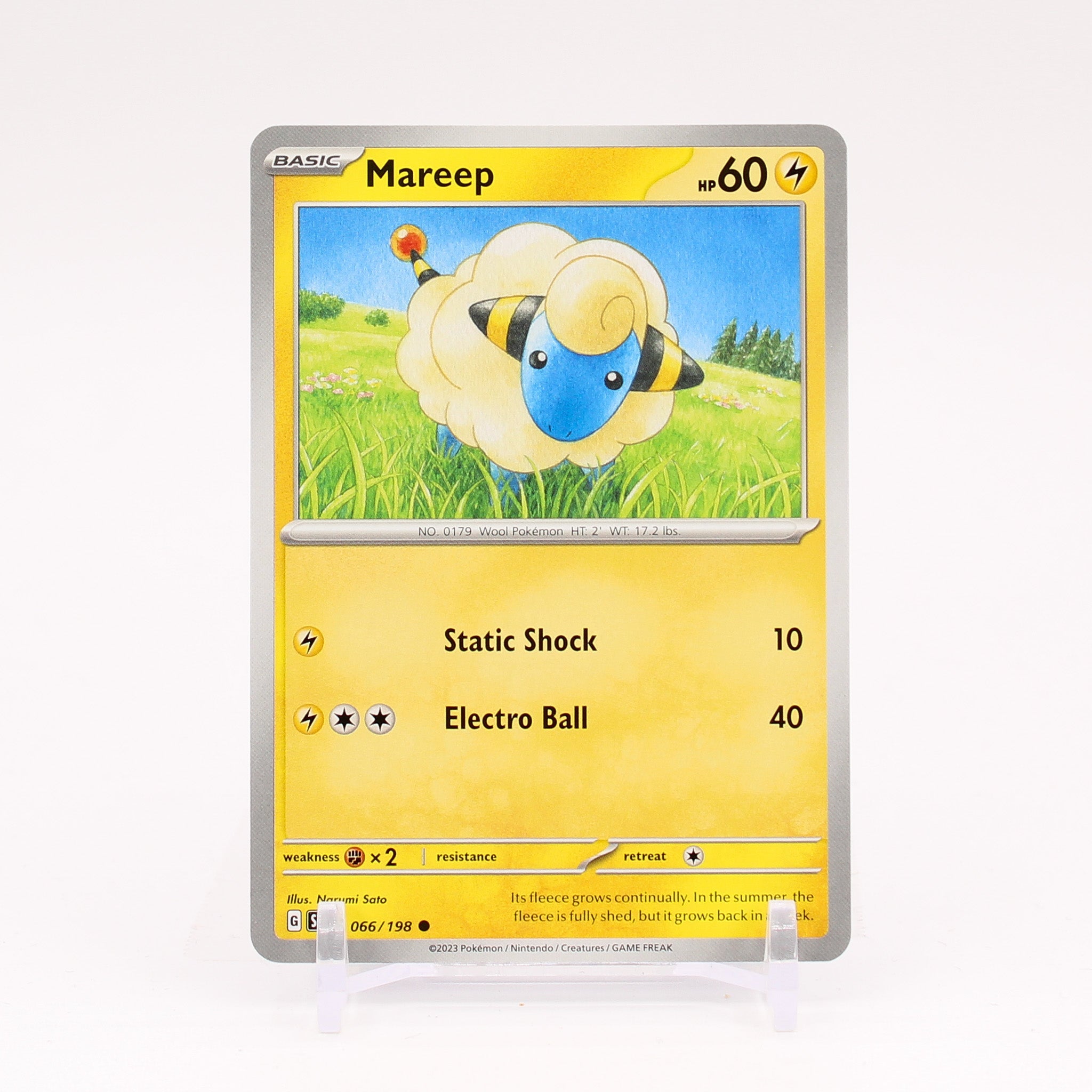 Mareep - 066/198 Scarlet & Violet Common Pokemon - NM/MINT