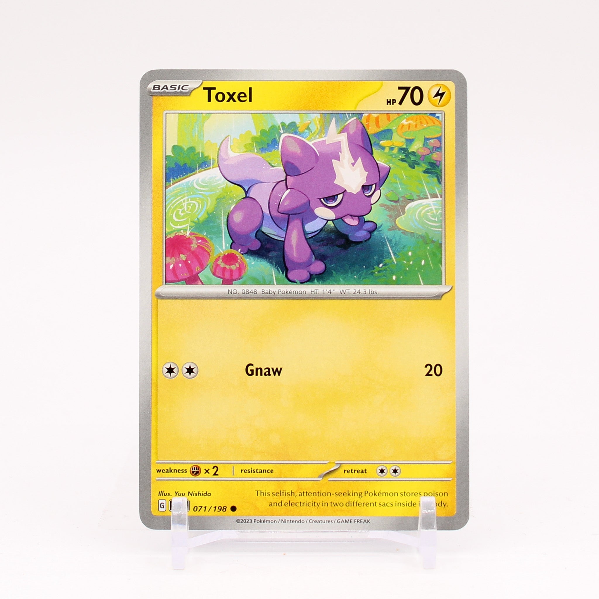 Toxel - 071/198 Scarlet & Violet Common Pokemon - NM/MINT
